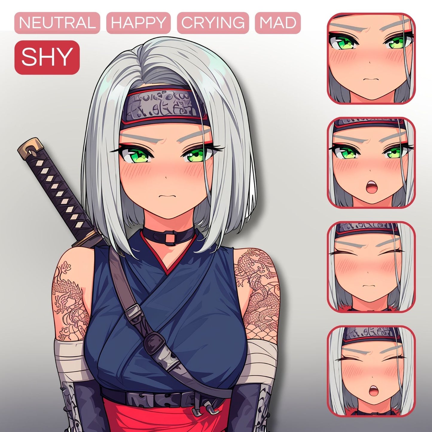 Ninja Girl PNGTuber | Veadotube Avatar Download