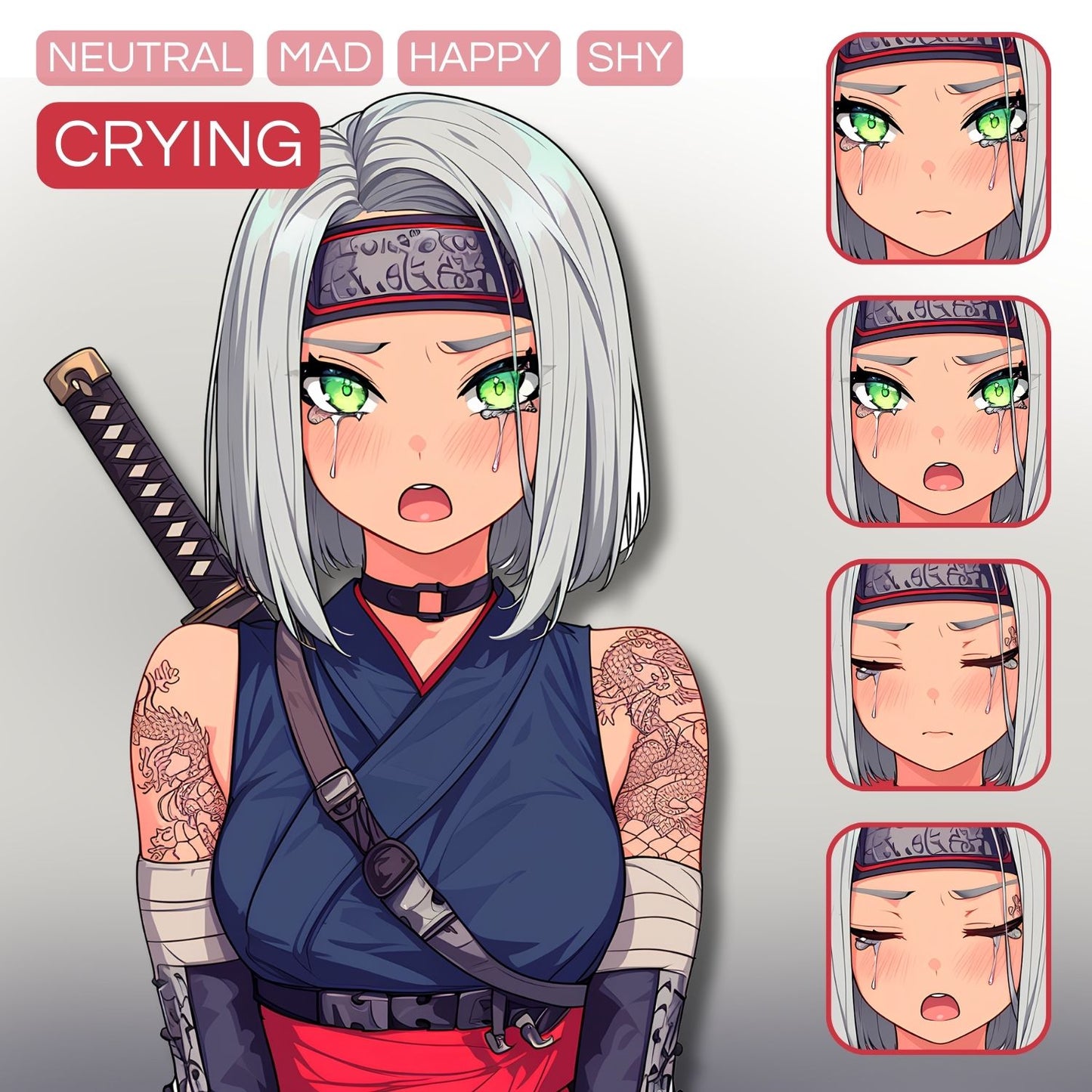 Ninja Girl PNGTuber | Veadotube Avatar Download